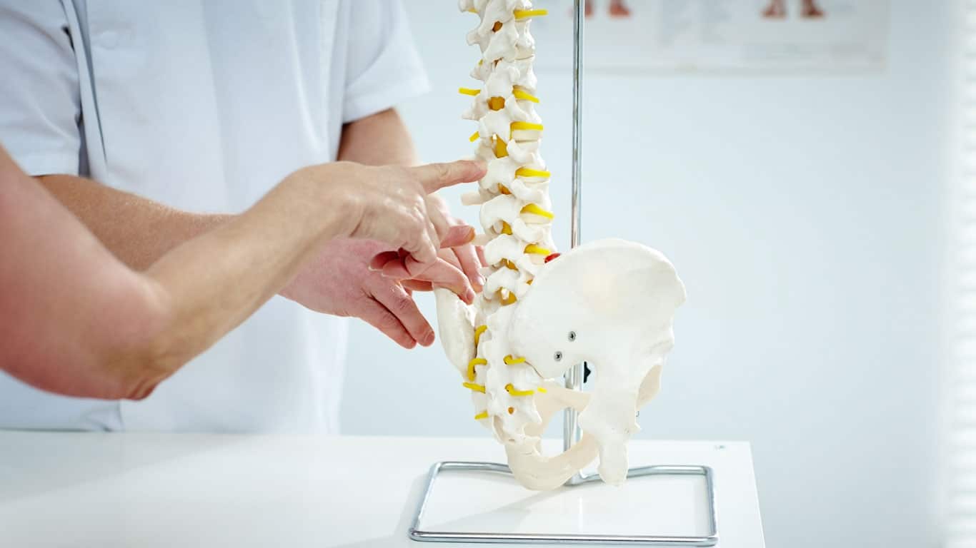 A doctor pointing to parts of a skeleton spine.